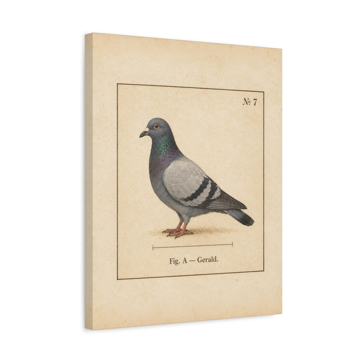 Fig. A: Gerald – Folk Style Wall Art with a Specimen Plate in Profile – Canvas / Framed Canvas