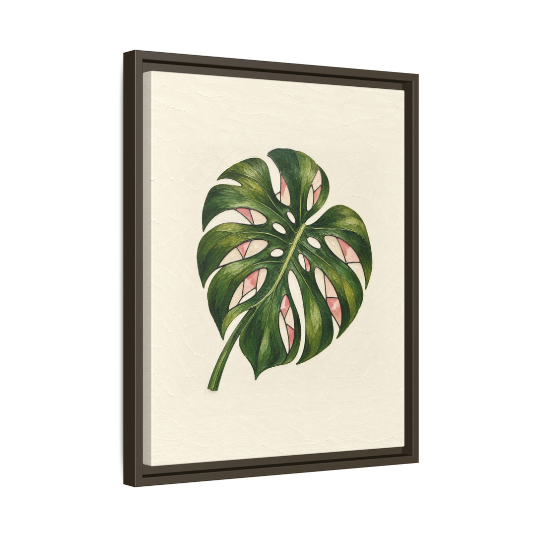 Espresso frame