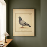 Fig. A: Gerald – Folk Style Wall Art with a Specimen Plate in Profile – Canvas Wall Art